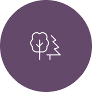 Compromiso con el entorno