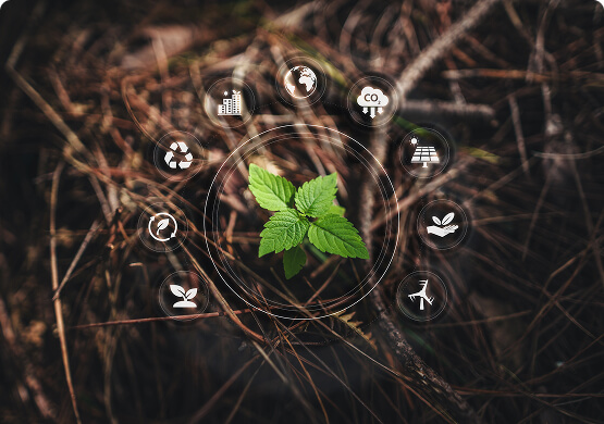 Planes de compesacion mobile